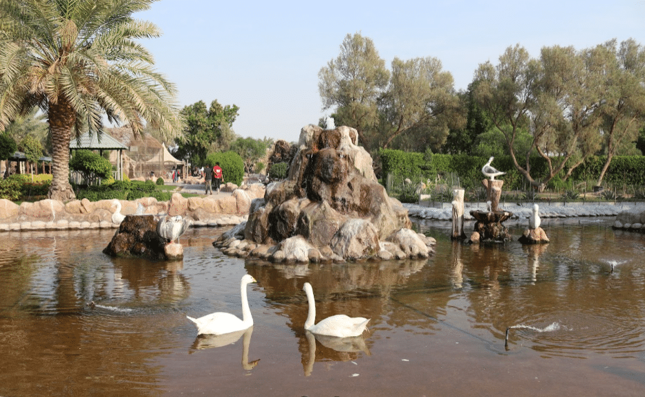 العرين البحرين وأهم الأنشطة عند زيارتها 7 العرين البحرين محمية